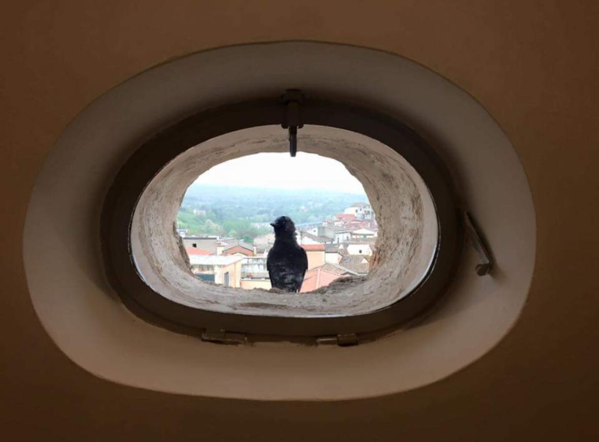Hotel La Casa Nel Borgo Antico Melfi Exteriér fotografie